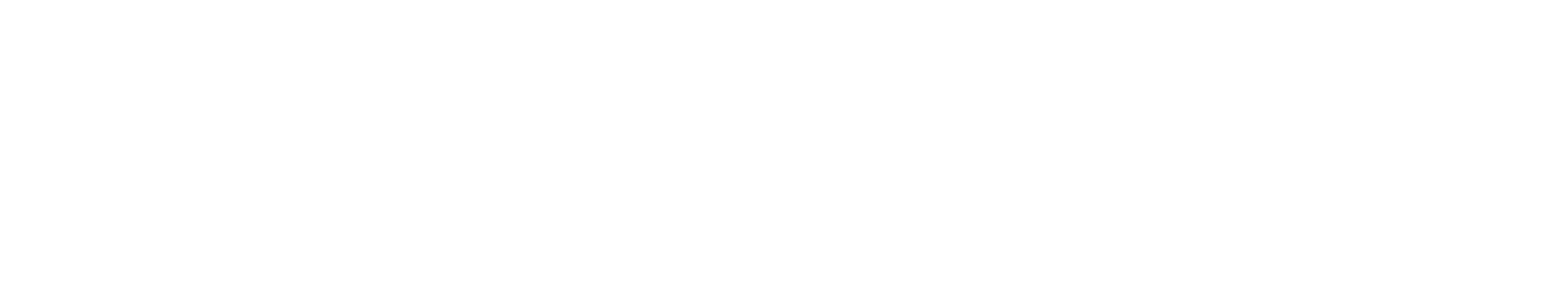 Custom Logo